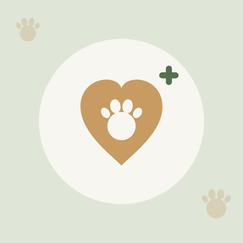Wellness & Supplements — heart with paw icon