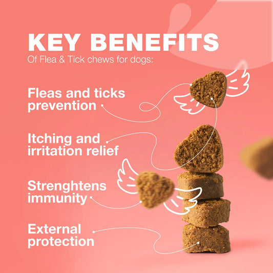 Natural flea and tick defense chews for dogs — product view 2