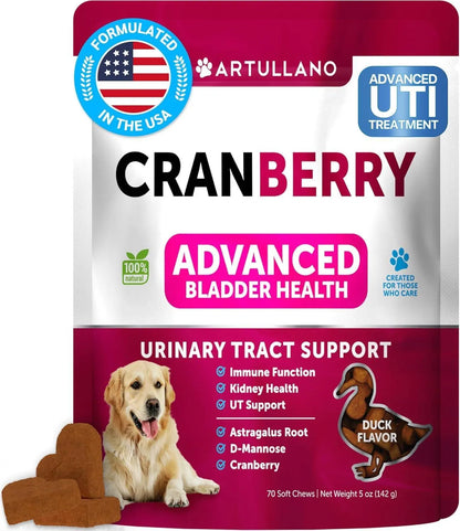 Cranberry UTI support soft chews for dogs, 70 count jar