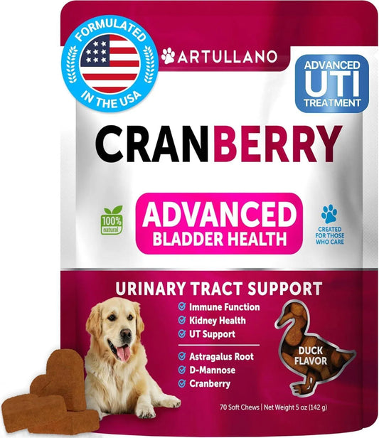 Cranberry UTI support soft chews for dogs, 70 count jar