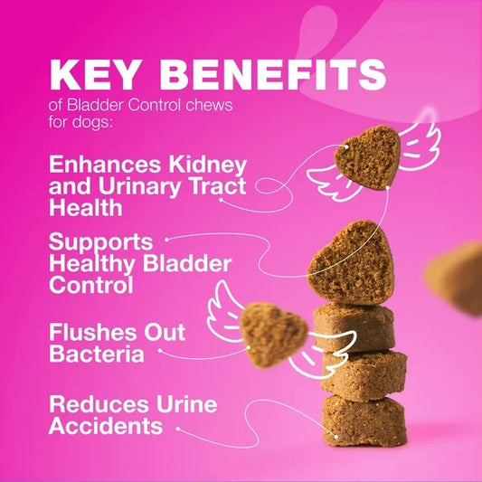 Advanced cranberry bladder and kidney support for dogs — product view 2