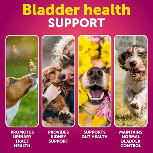 Cranberry UTI support chews for dogs — product view 2